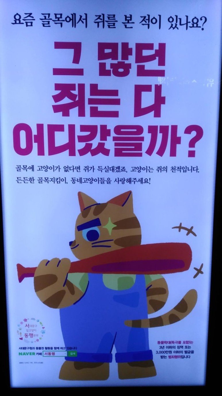 캣맘들이 주장하는 철벽 논리.jpg