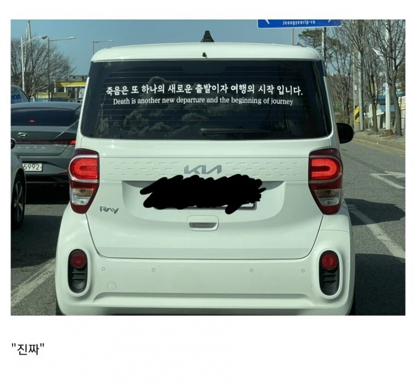 운전자 가짜광기 vs 진짜광기
