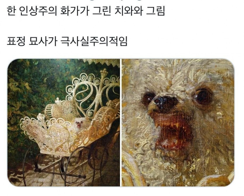 극사실주의적 치와와