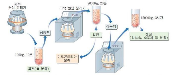 원심분리기