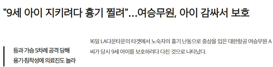 칼에 찔린 대한항공 여승무원, 사실은 아이를 구하려다 당해