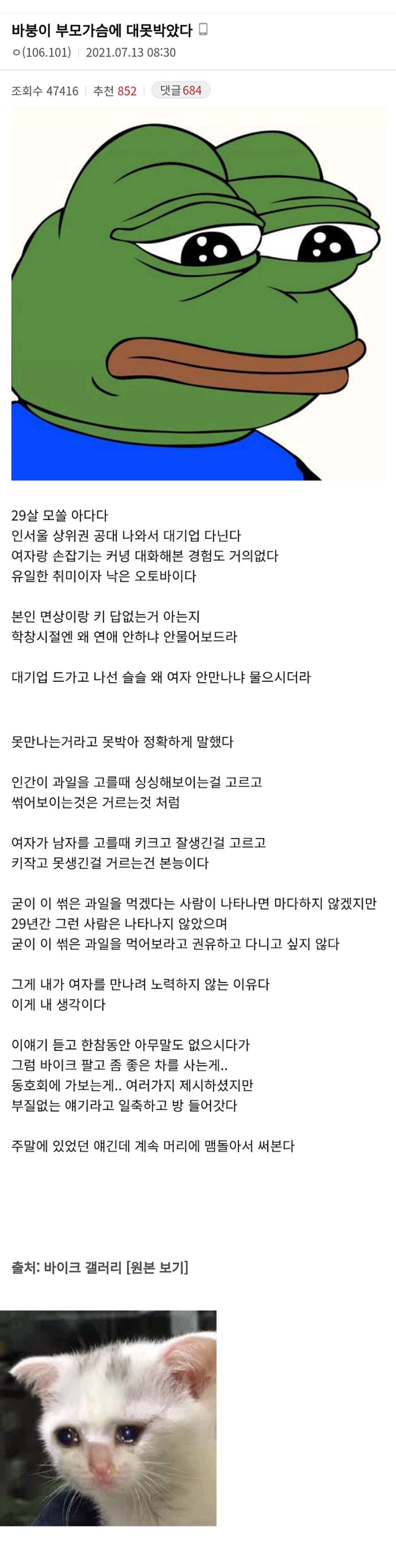 부모가슴에 대못박은 29살 모쏠