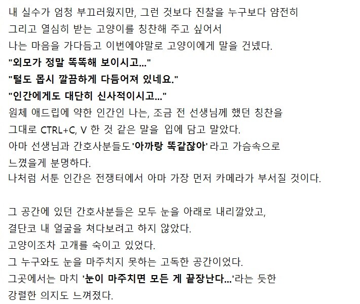 처음 가는 동물병원에 고양이를 데려갔다