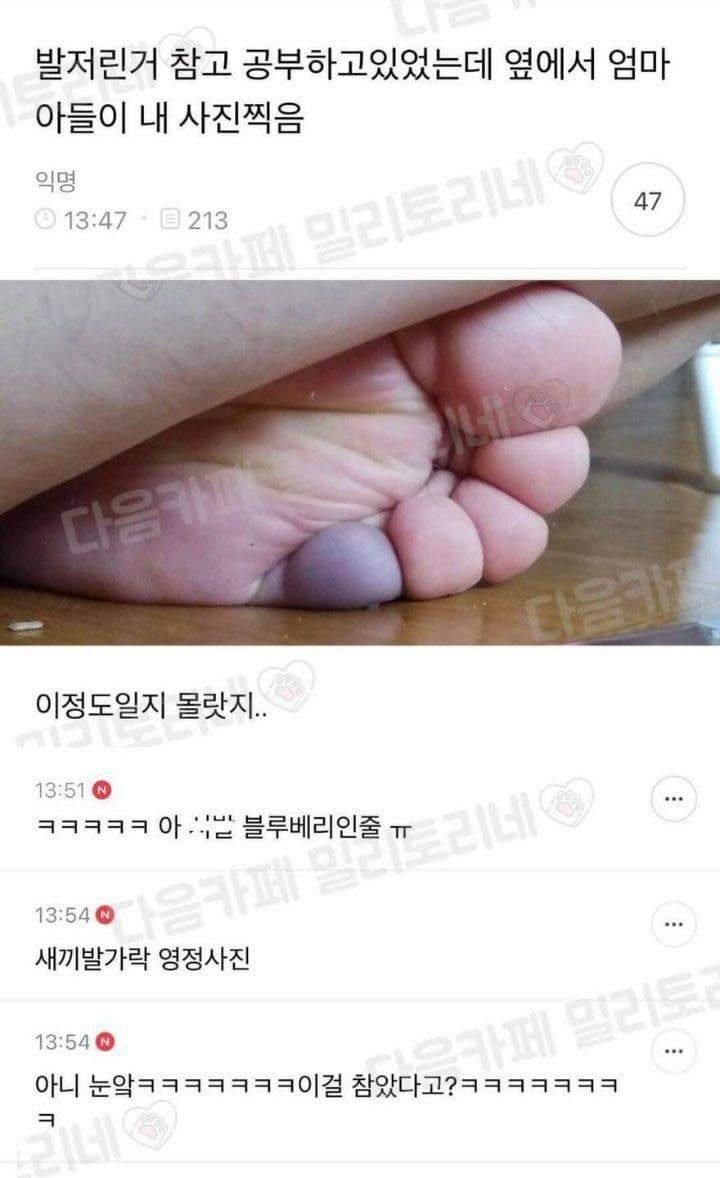 블루베리 보고 가실게요~ ㅋㅋㅋㅋㅋㅋㅋㅋ