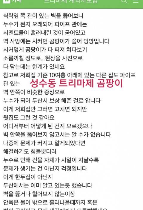 성수동 트리마제 곰팡이