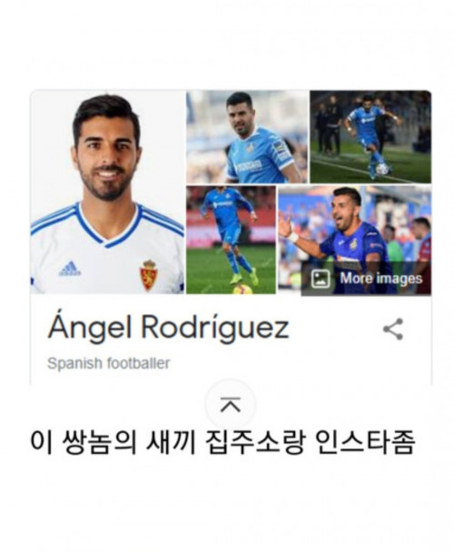 스포츠토토로 20억 딸뻔한 썰