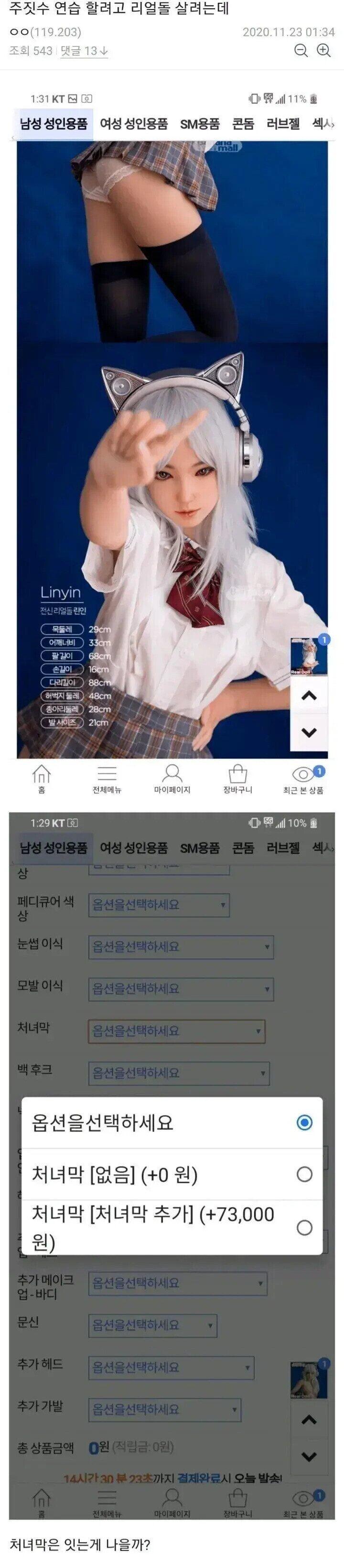 ㅇㅎ)주짓수 연습 하려고 리얼돌 살려는데.jpg