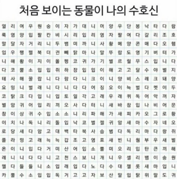 처음 보이는 동물이 나의 수호신???