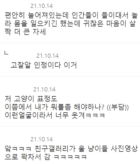 고양이 있는 친구집 놀러가면 생기는 일