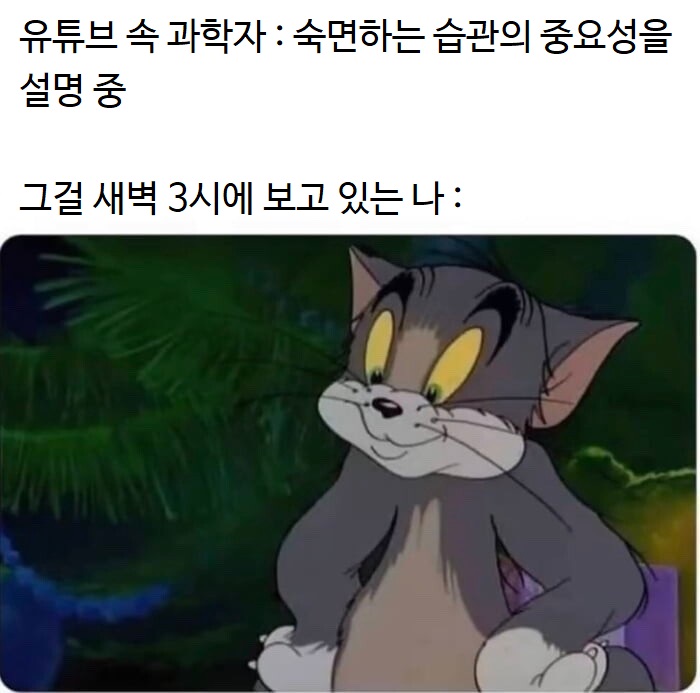 모순된 상황