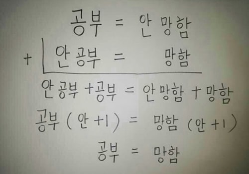 논리적이네