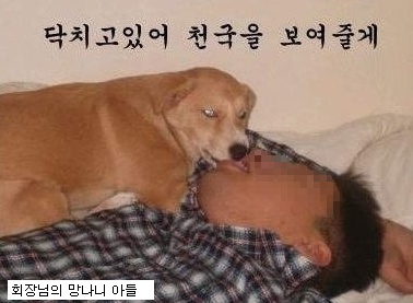 개표정으로본 회사