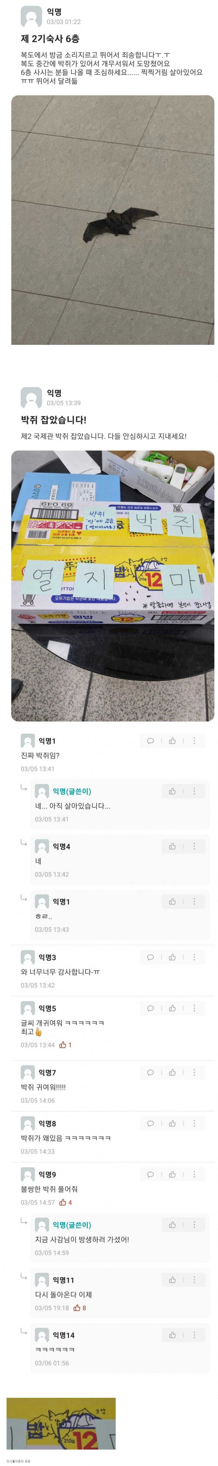 기숙사에서 박쥐나온 모대학