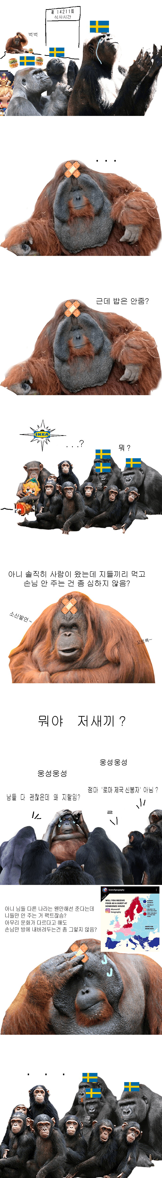 스웨덴의 손님접대문화에 대한 가테만화