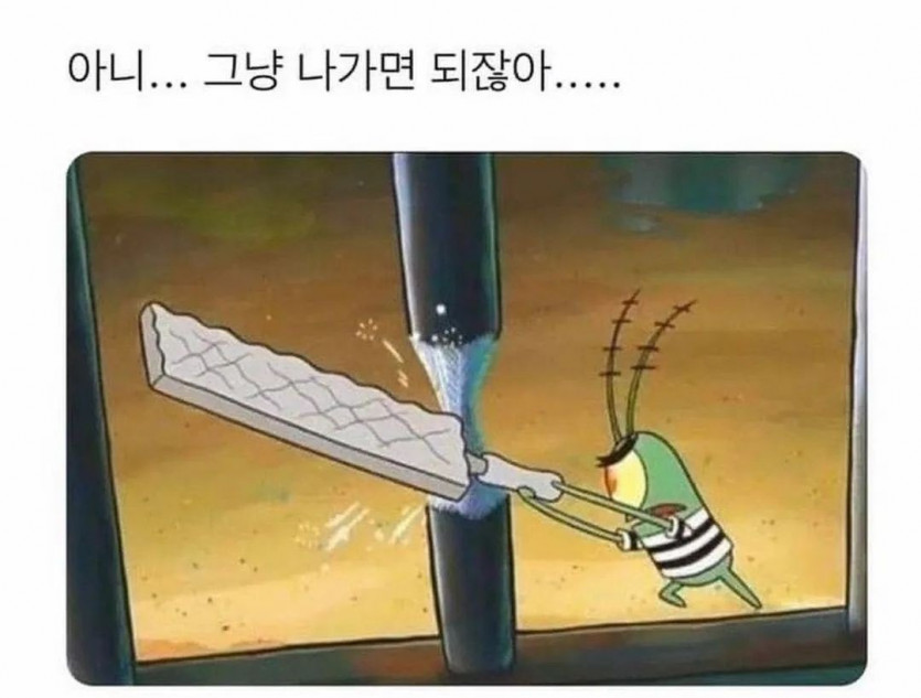 쓸데없이 정직한 녀석