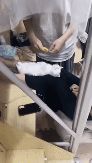 잠 잘 때만 가능한 비밀작업