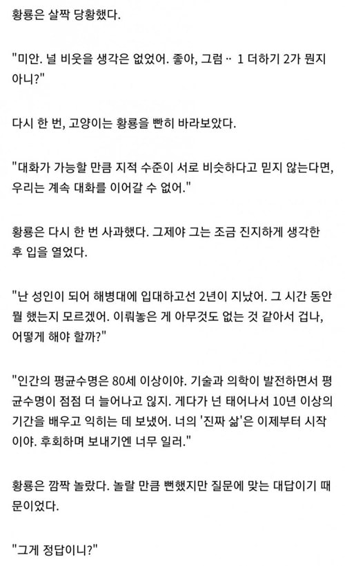 고양이는 모든 답을 알고 있다