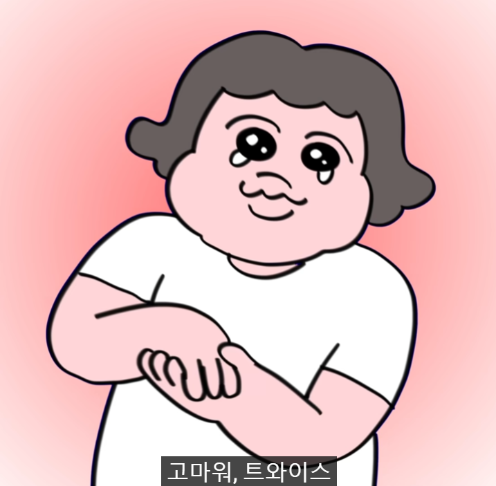 트와이스 콘서트에 다녀온 일본인 후기