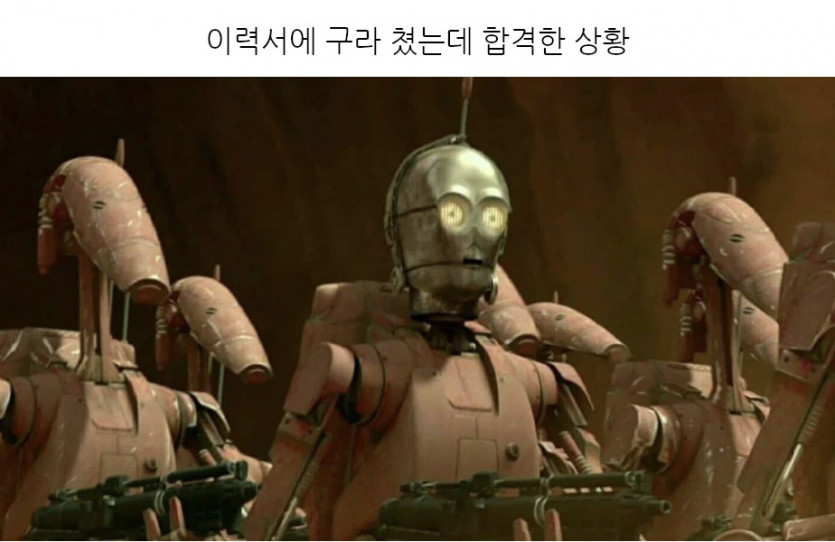 취업성공!