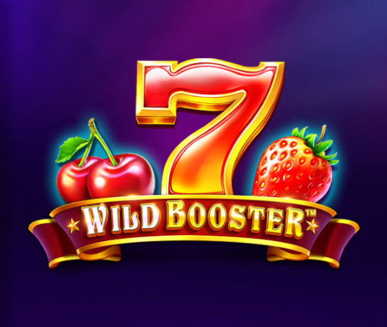 슬롯게임리뷰 와일드 부스터 Wild Booster