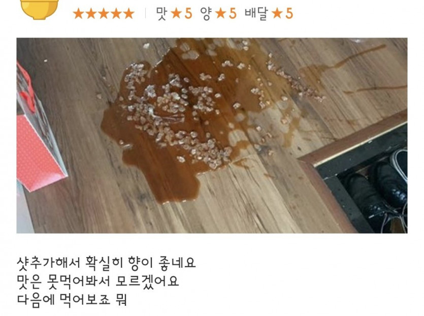 쿨내 넘치는 5점리뷰