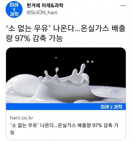 무소유 근황