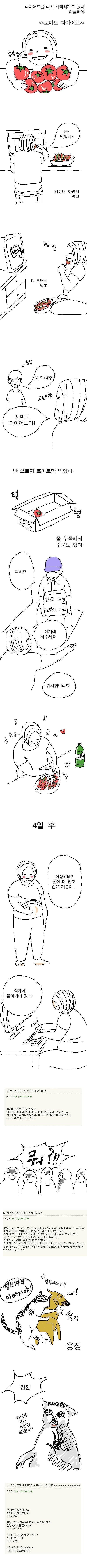 토마토 다이어트 후기