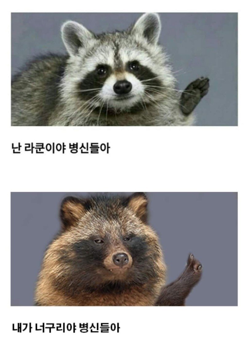 너구리 주의보에 너굴맨 박아넣은 구청 공무원.jpg