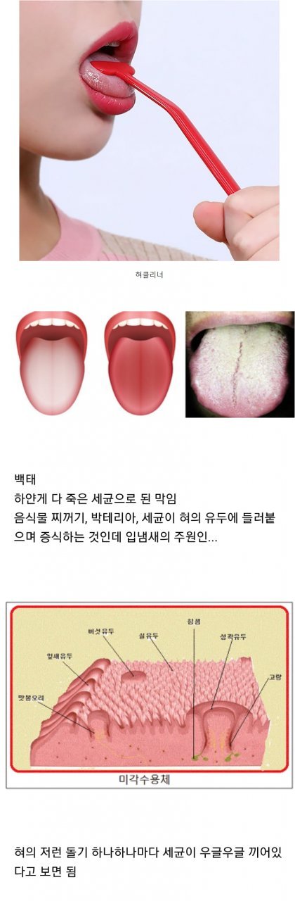생각보다 안 쓰는 사람이 많다는 이것