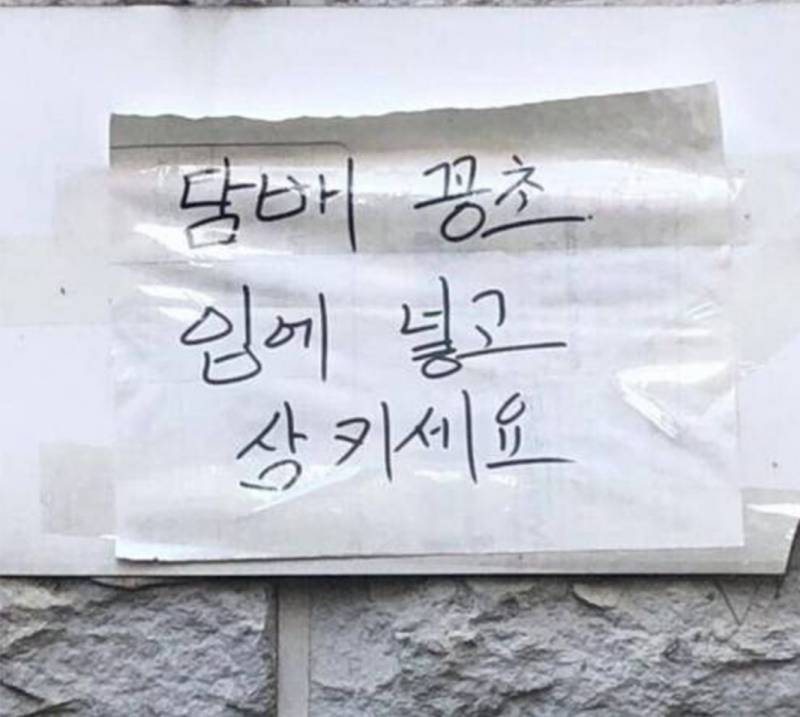 담벼락 노빠꾸