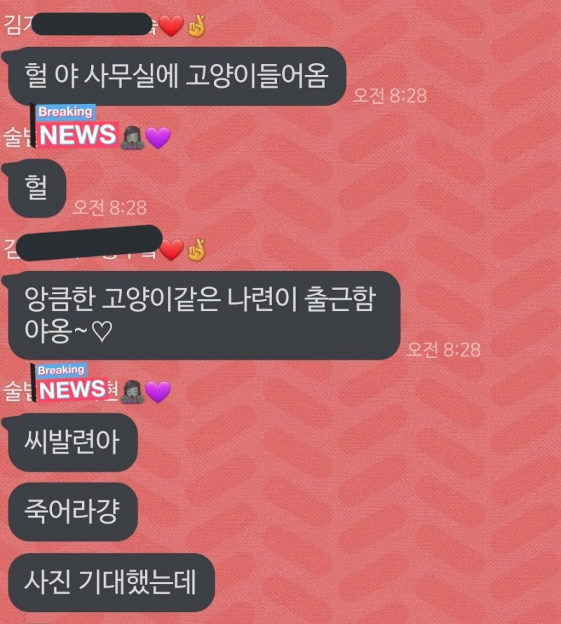 "헐 야 사무실에 고양이 들어옴"