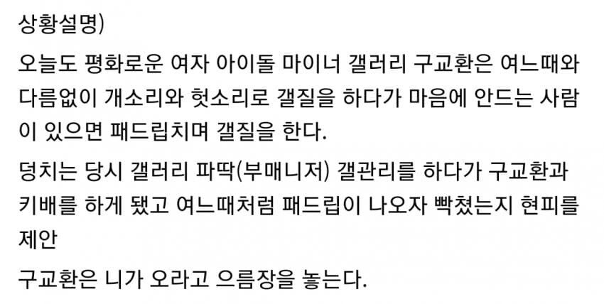 여자아이돌 갤러리 현?피 사건