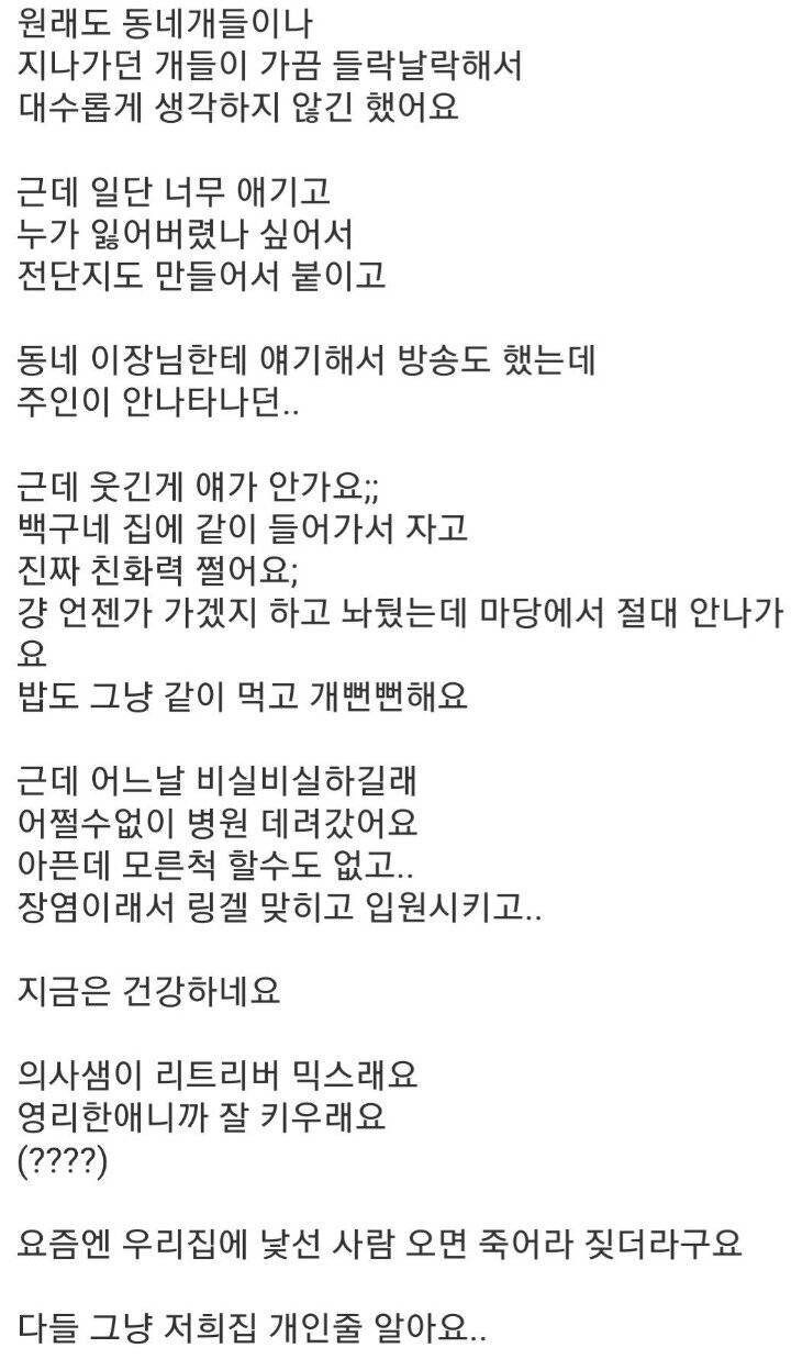 집에 모르는 개가 들어와서 살아요..jpg