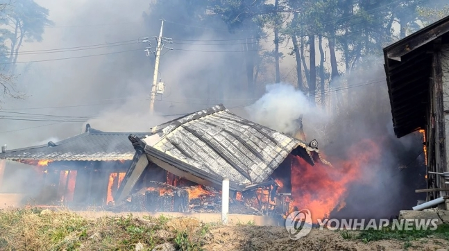 강릉 산불 근황 경포대 관광지 펜션이랑 모텔들 피해 엄청나다고 함;
