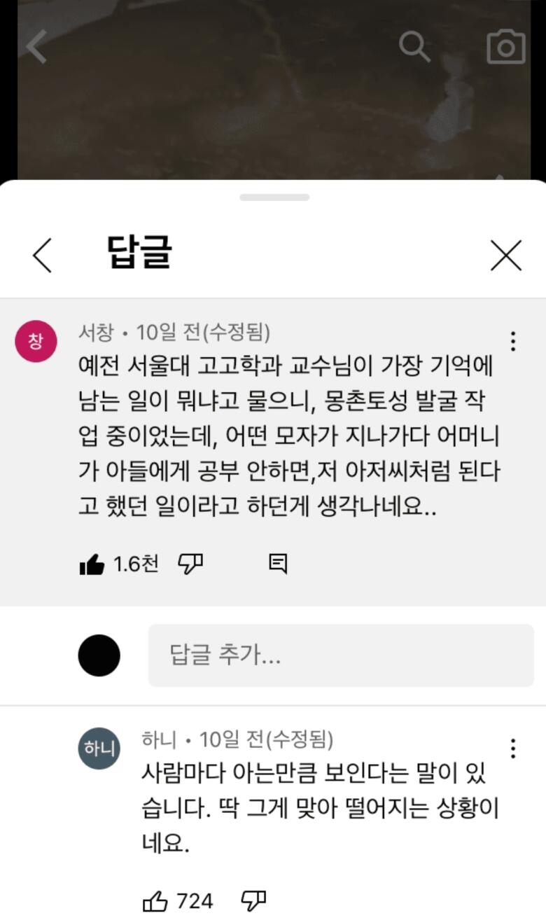 서울대 고고학과 교수가 들은 가장 충격적인 말