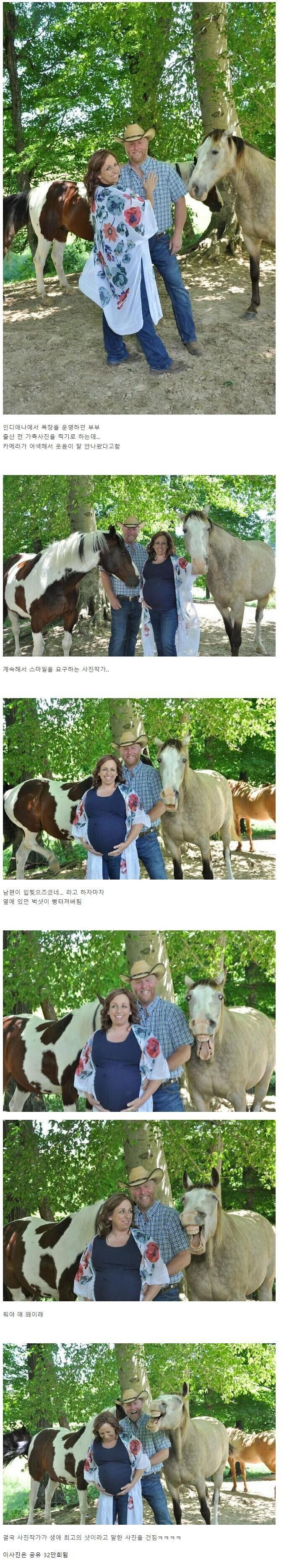 32만회나 공유 됐다는 어느 부부 사진