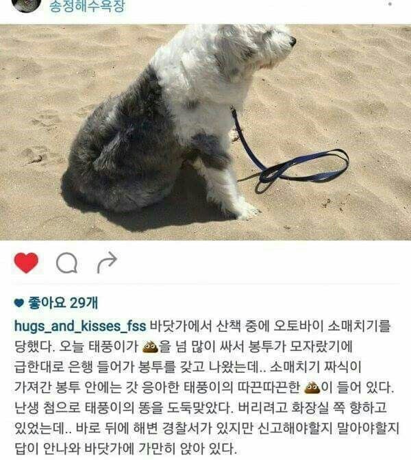 개똥 소매치기