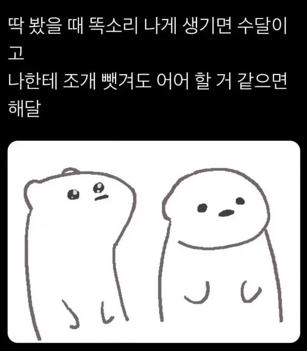 싱글벙글 수달과 해달 구별법