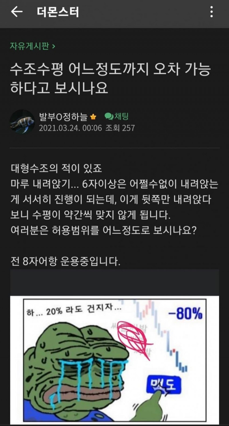 어항 터진거 재밌는거 보여줄까?