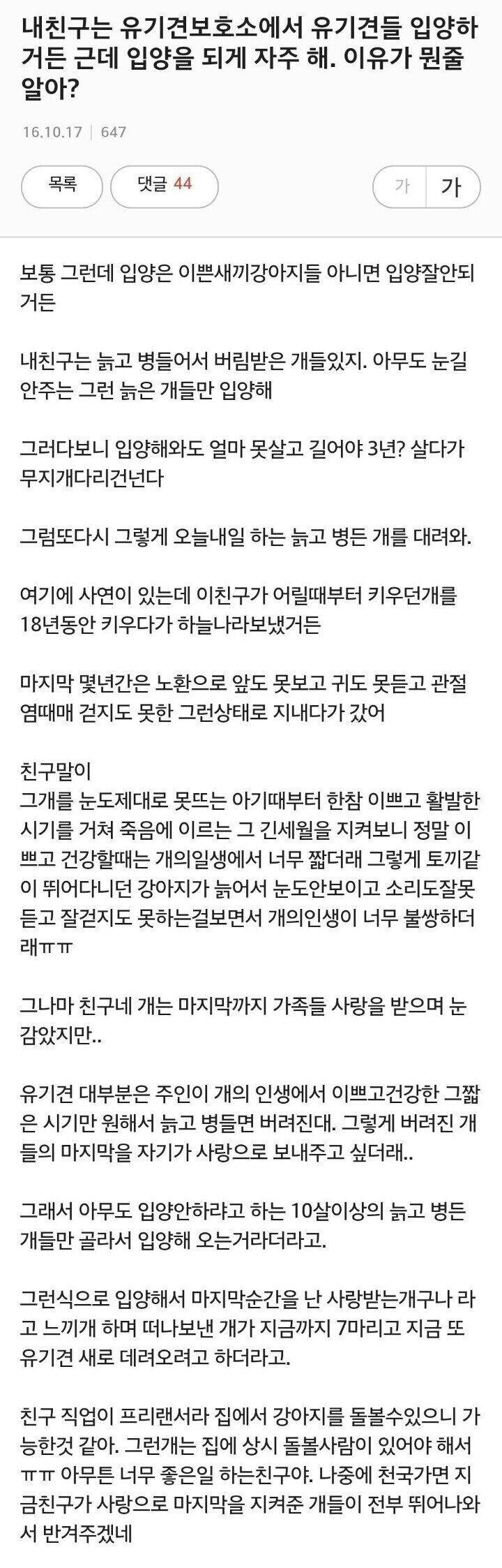 늙고 병든 유기견만 입양하는 친구.jpg