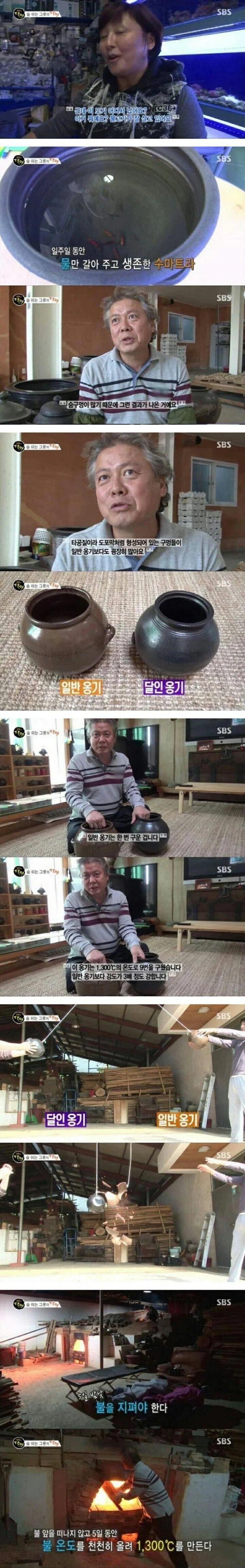 명품 그릇의 달인.....jpg