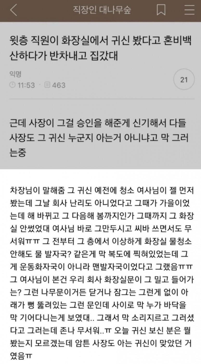 사장도 승인해준 반차 이유 (공포)