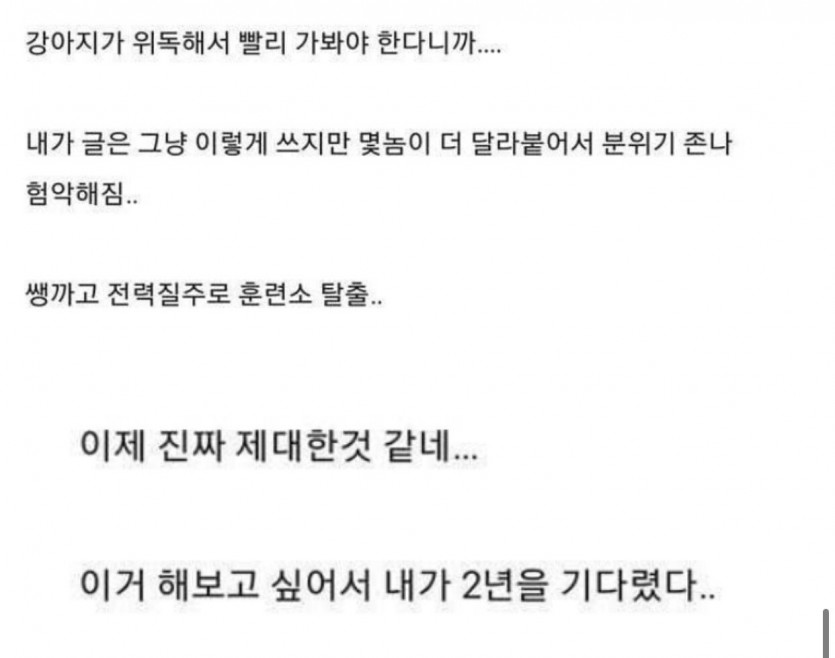 디시인의 군대 재입대 썰