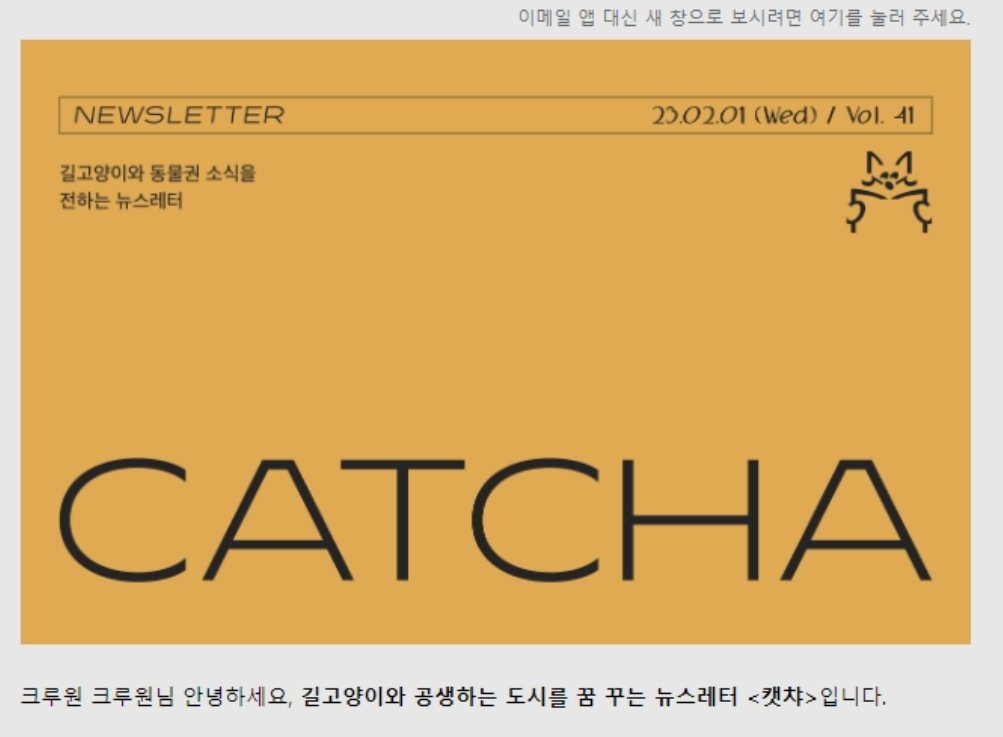 새덕후의 '캣맘고발' 이슈에 입을여는 단체들