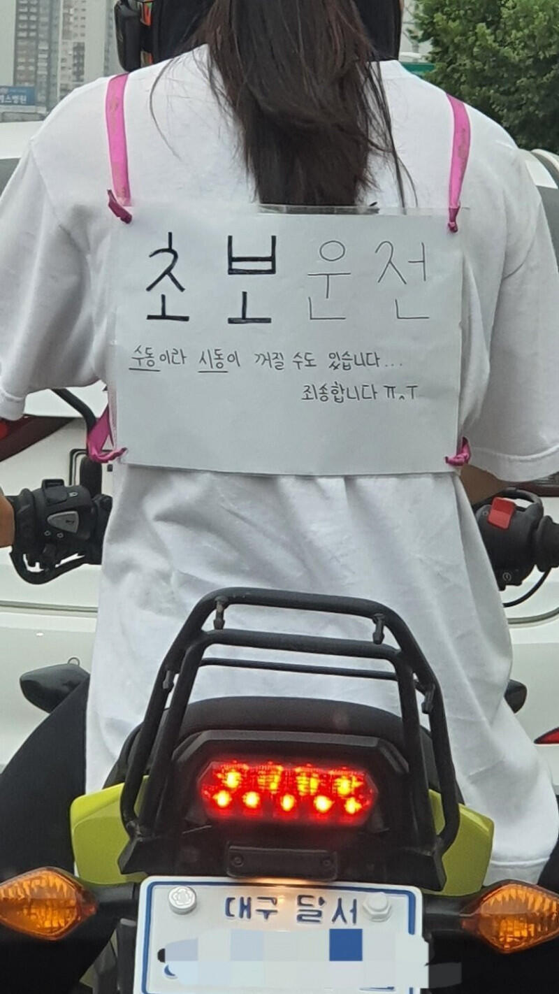 초보운전녀