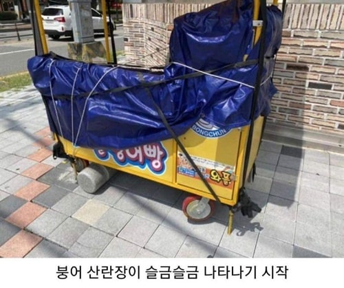 여름이 끝나간다는 증거