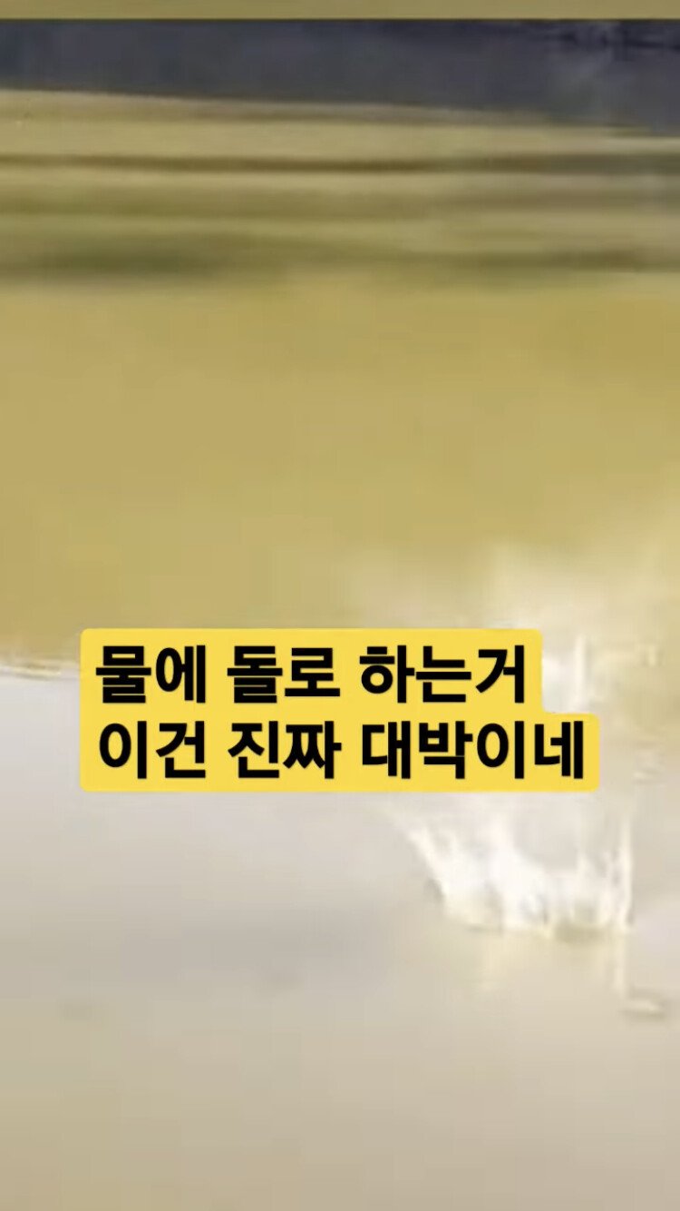 모두가 감탄한 유튜브 숏츠