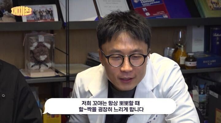 우리집 강아지가 핥는게 너무 느려요