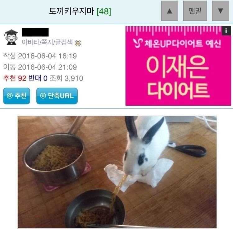 토끼 키우면 안 되는 이유