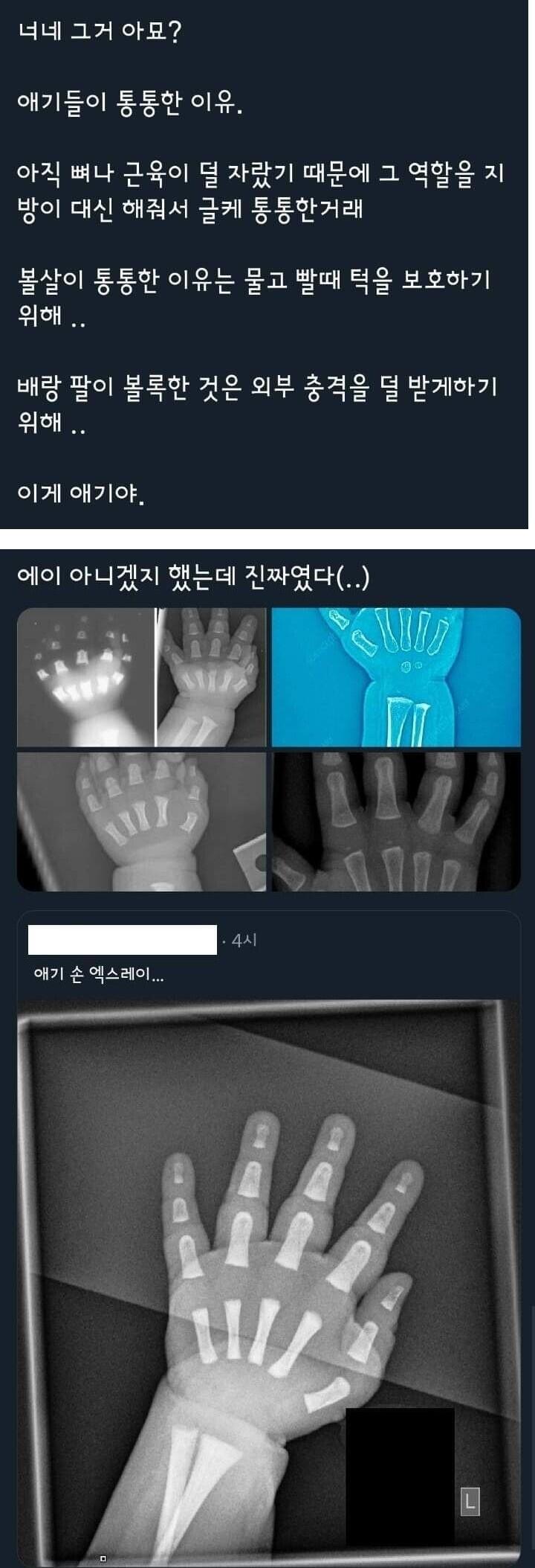애기들이 통통한 이유